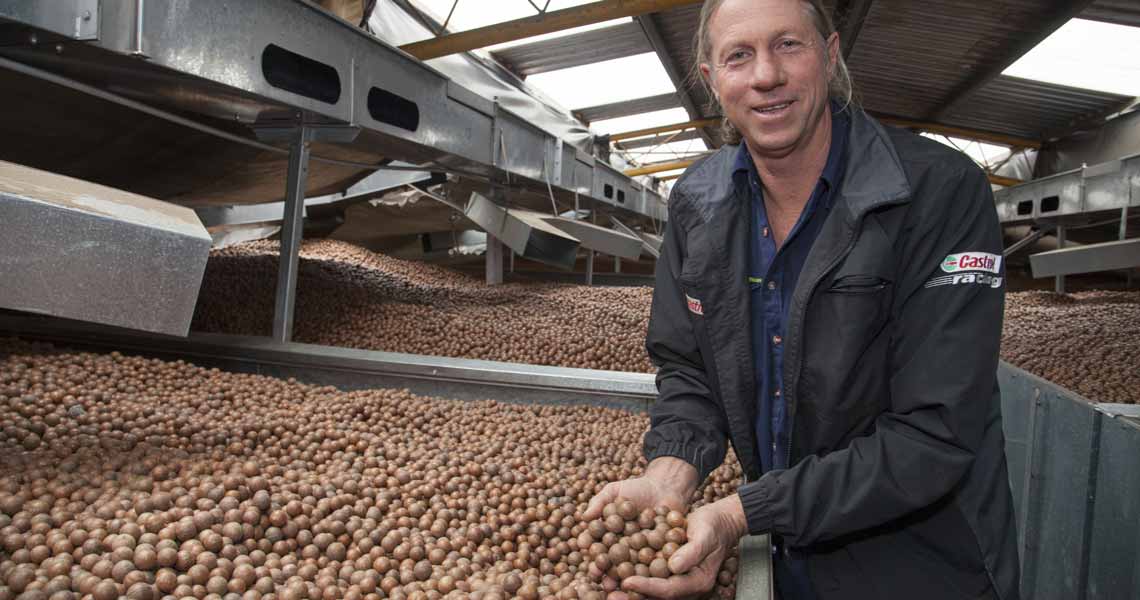 Article written for the macadamia industry about management practices to improve productivity